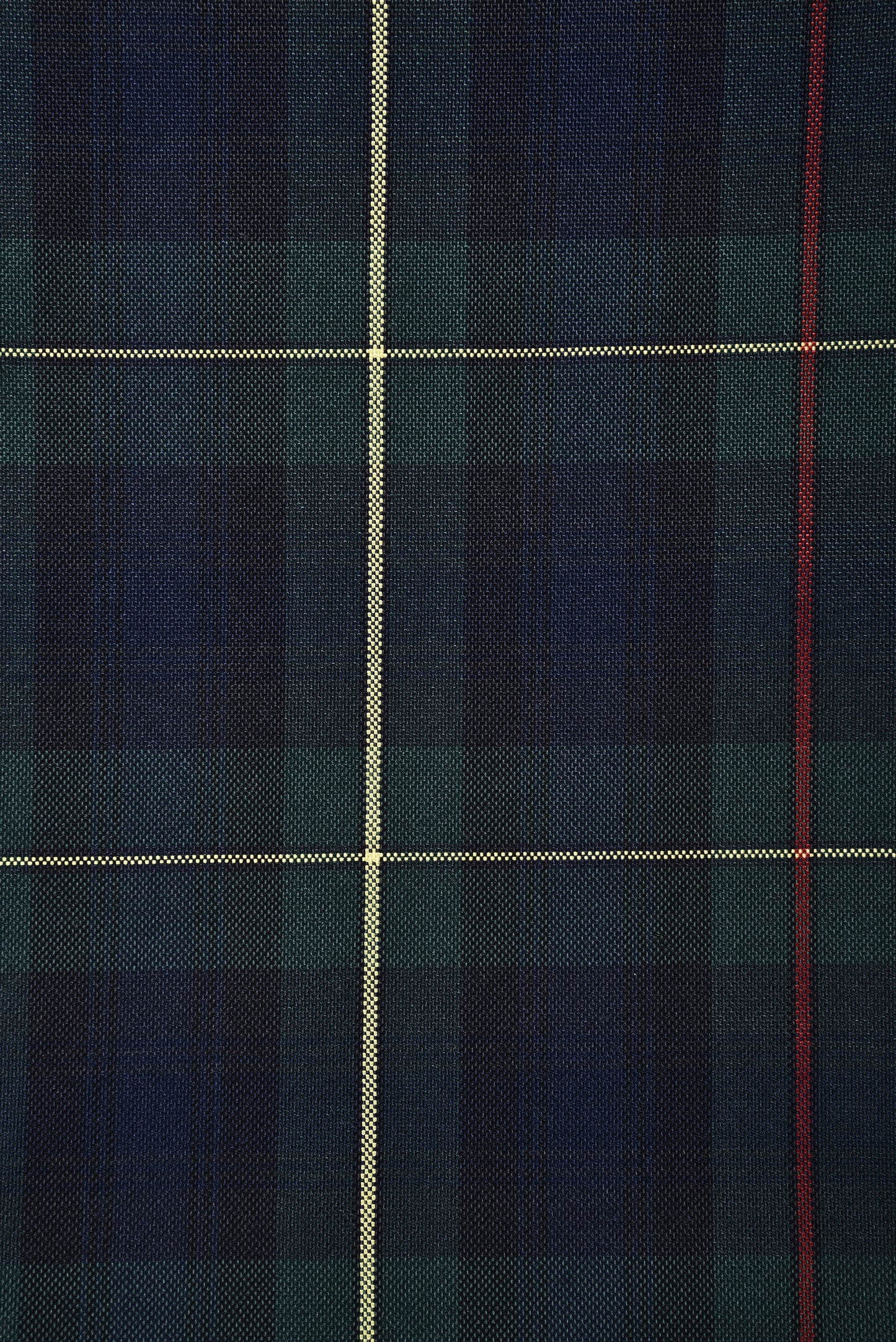 Navy Green Red Bold Checks