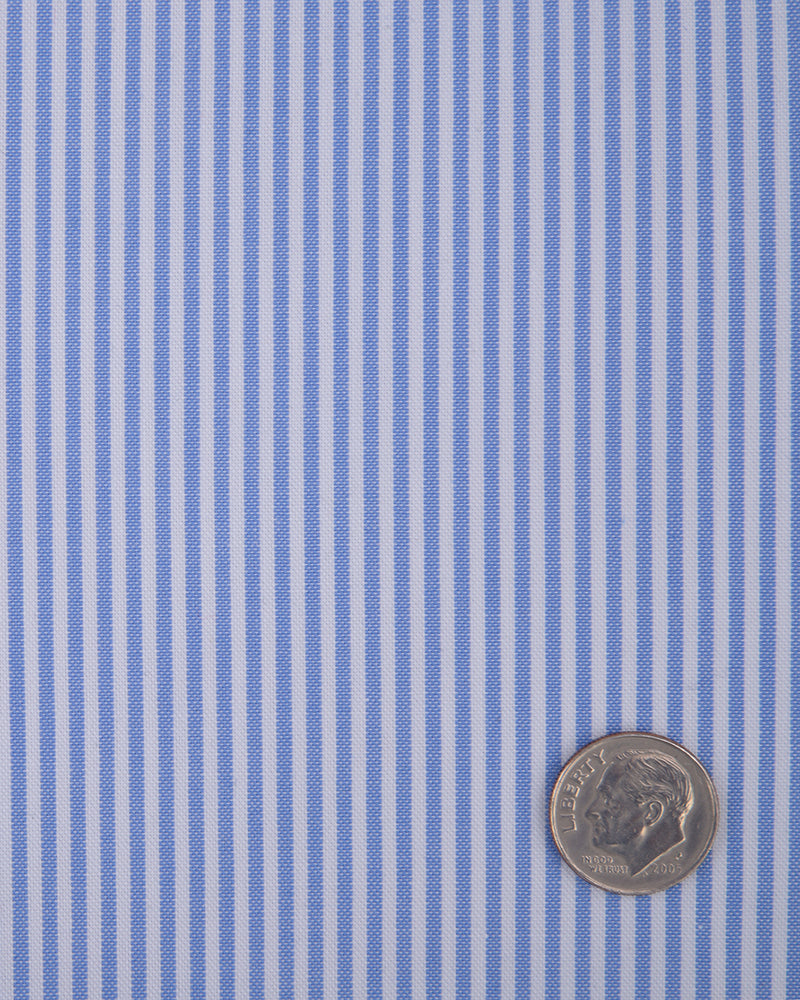 Blue White Bengal Stripes