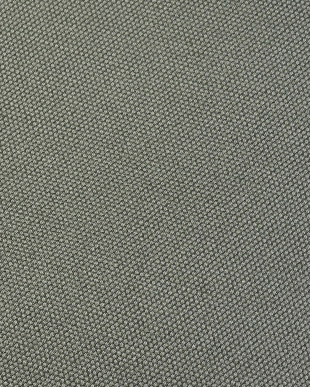 Modrone - Grey Canvas