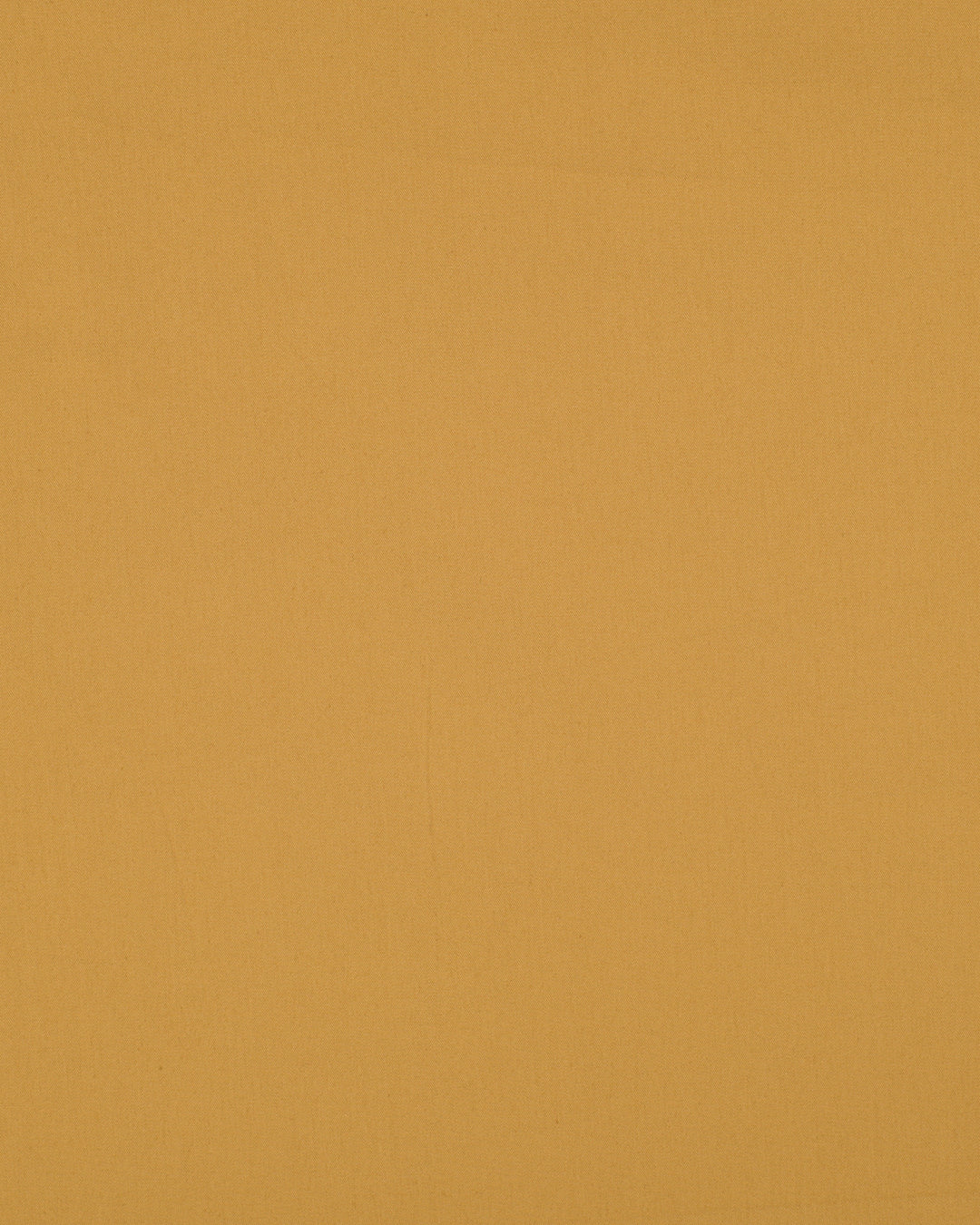 Golden Mustard Cotton Pant