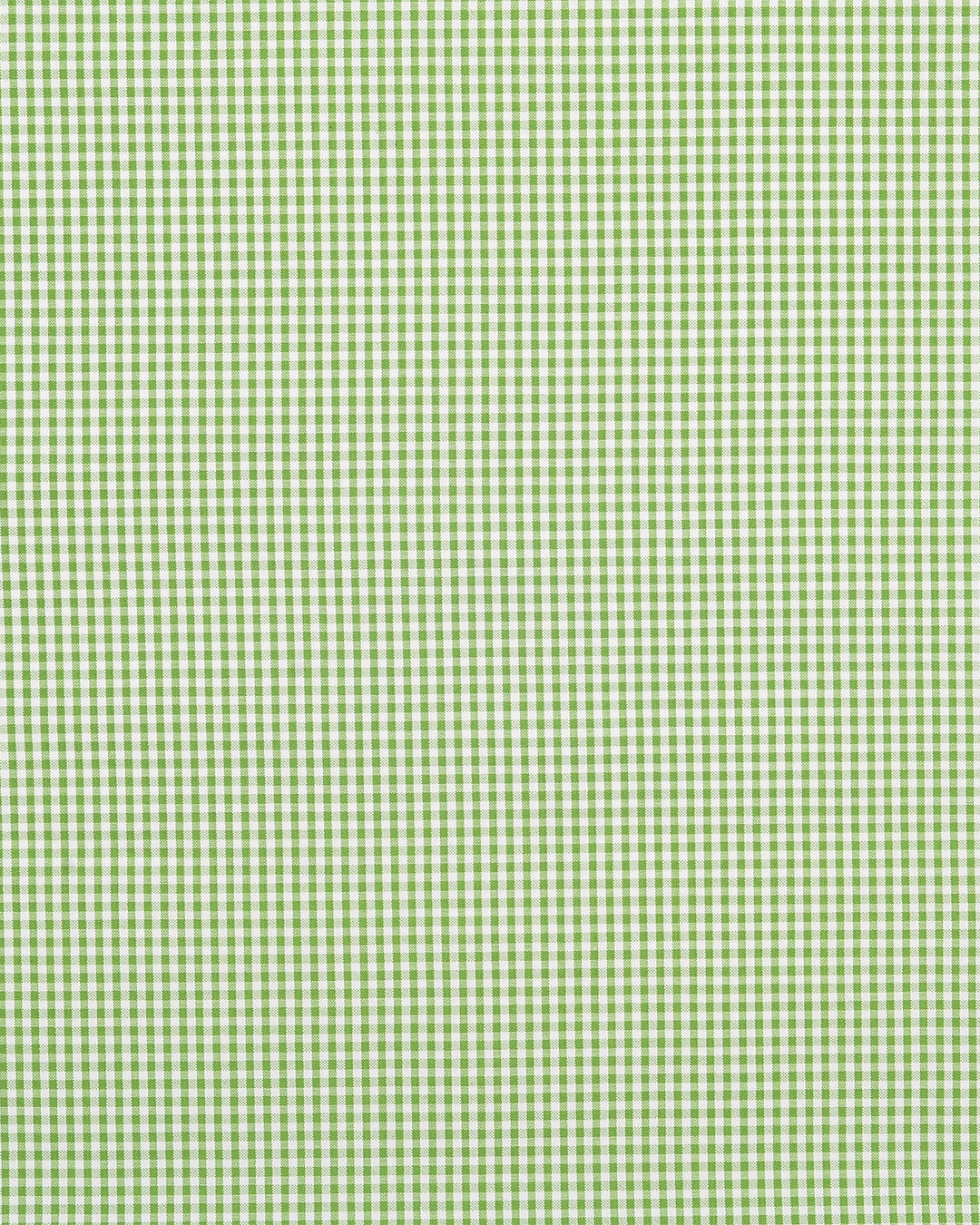 Green Small Gingham Seersucker