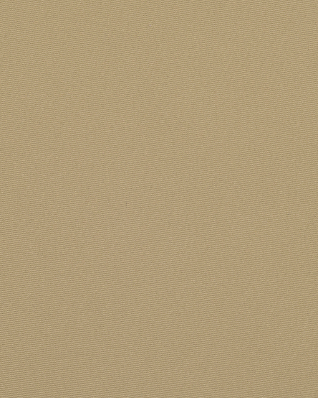 Biscotti Beige Chino - 7