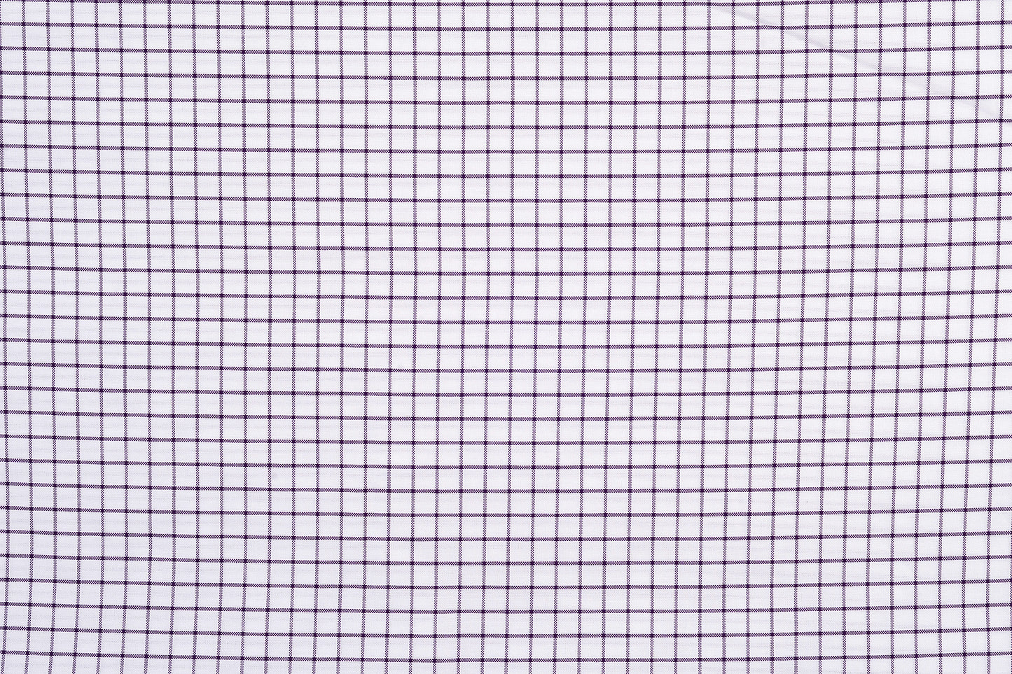 Summer Oxford: Purple White Checks