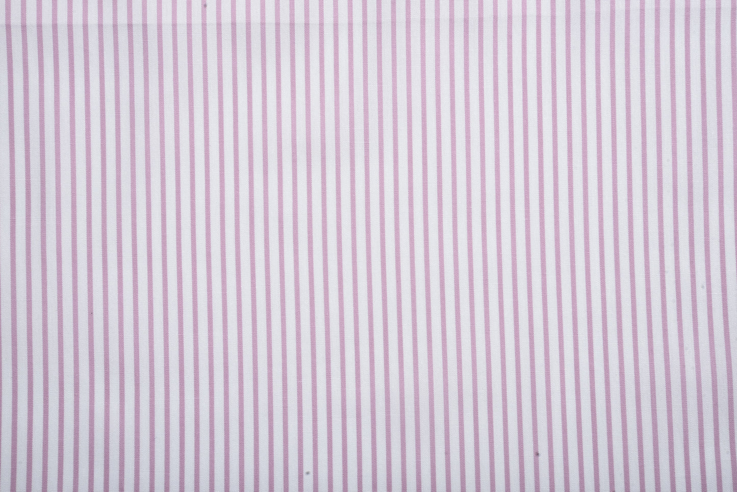 Pink Stripes On White Shirt