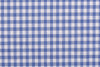 Ultramarine Light Blue Checks on White