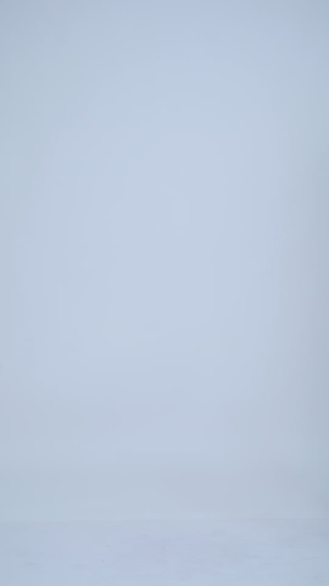 Genoa Olive Green Chino