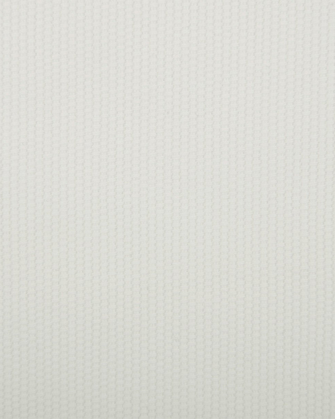 Off-White Cotton Canvas - 3