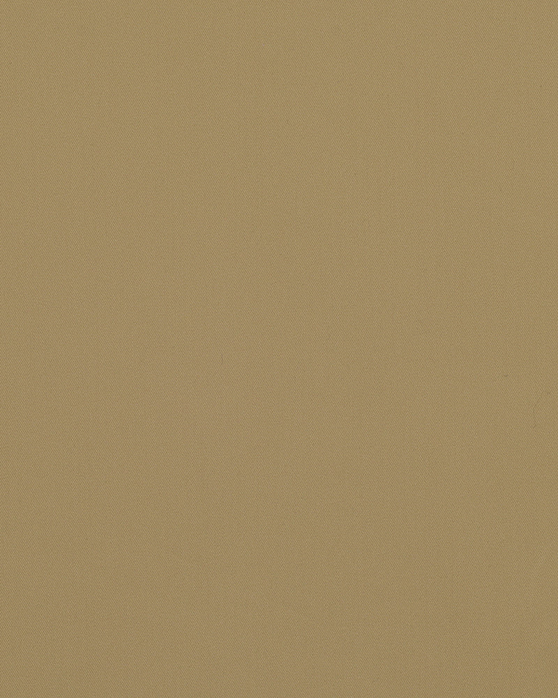 Biscotti Beige Chino