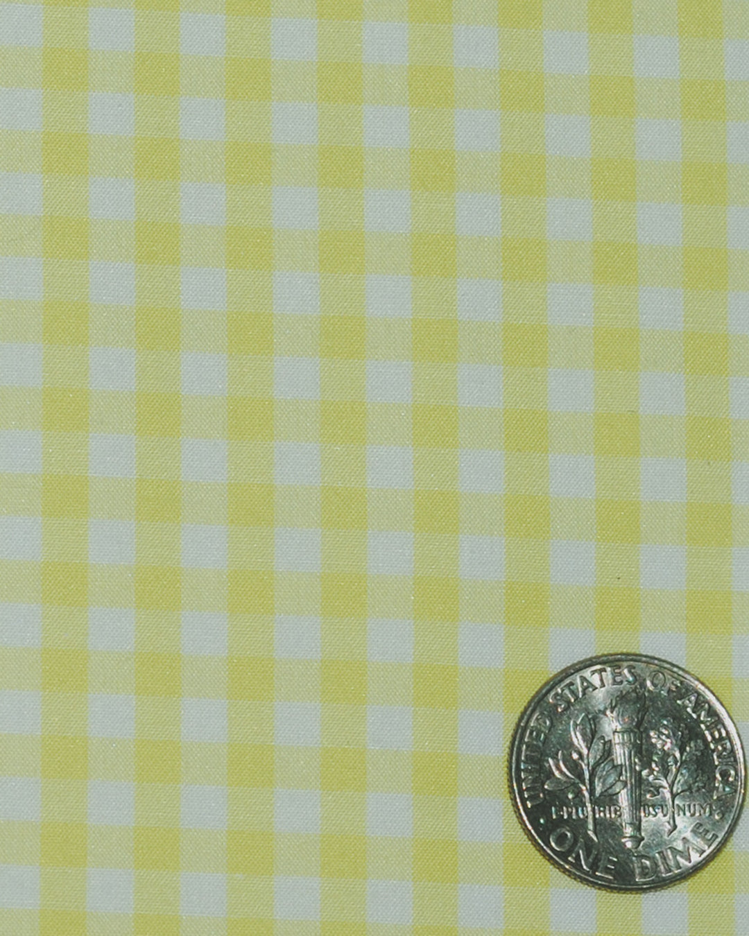 Pale Yellow Gingham - 4