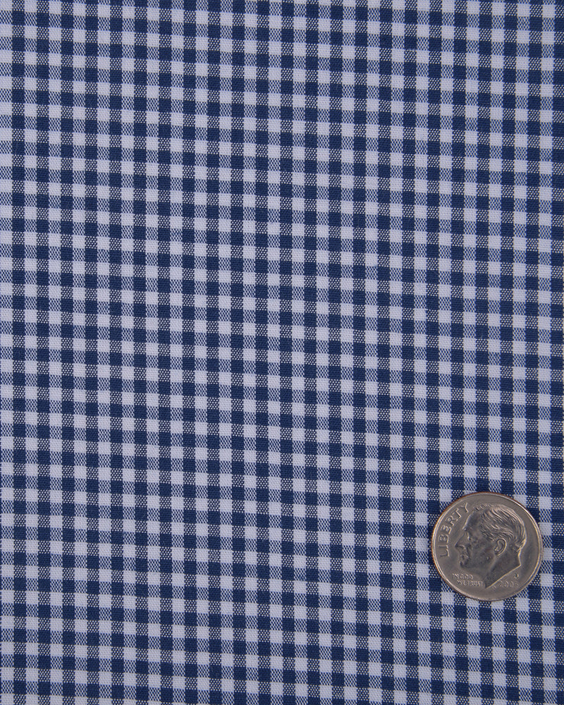 Denim Blue and White Macro Gingham Checks
