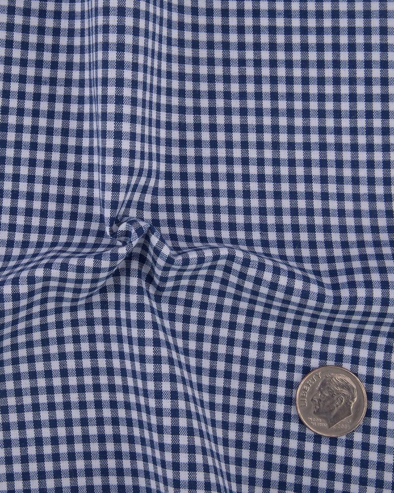 Denim Blue and White Macro Gingham Checks